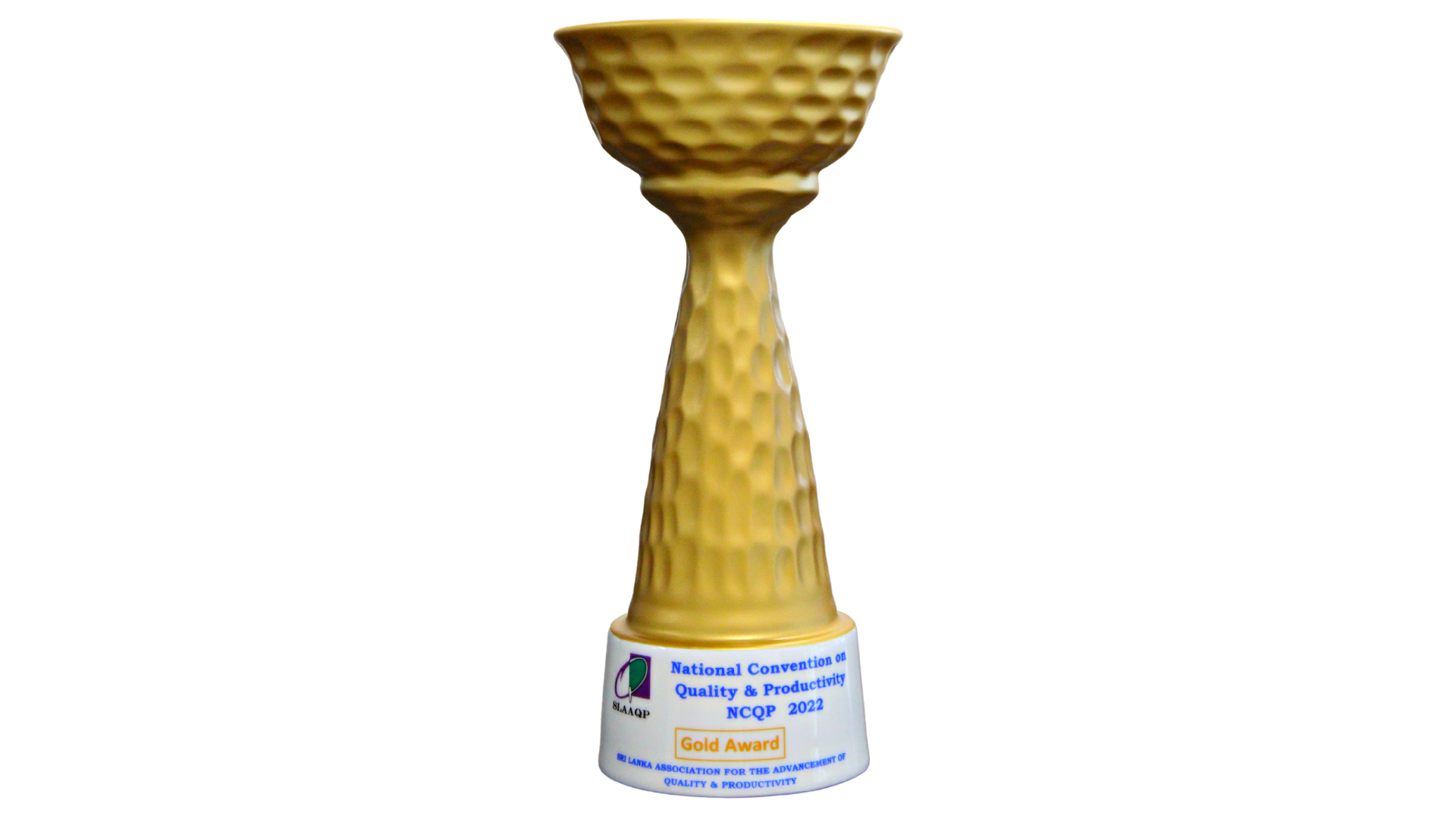 Gold Award for the CFT Project (Cross Functional Teams)